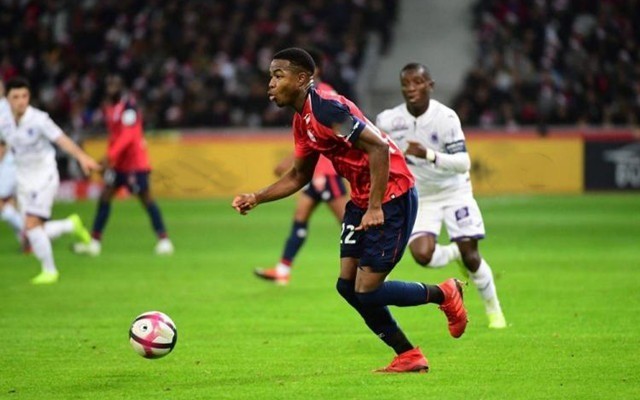 贡献超越了 贡献超越了