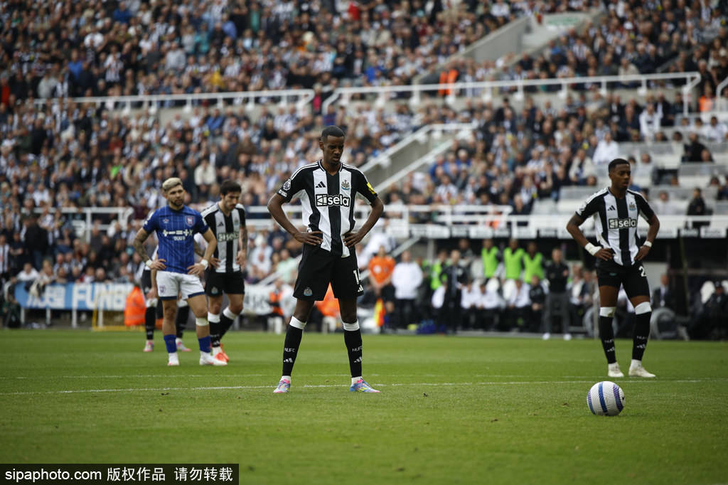 不俗的山东 不俗的山东